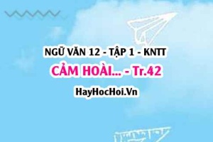 Soạn bài Cảm hoài trang 41 Ngữ văn lớp 12 tập 1 Kết nối tri thức